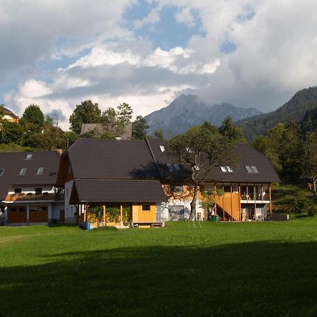 Apartments Tourist Farm Storman With Ev Ch-Station Trzic Exterior photo