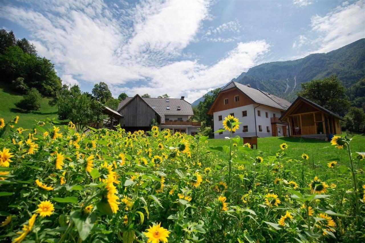 Apartments Tourist Farm Storman With Ev Ch-Station Trzic Exterior photo