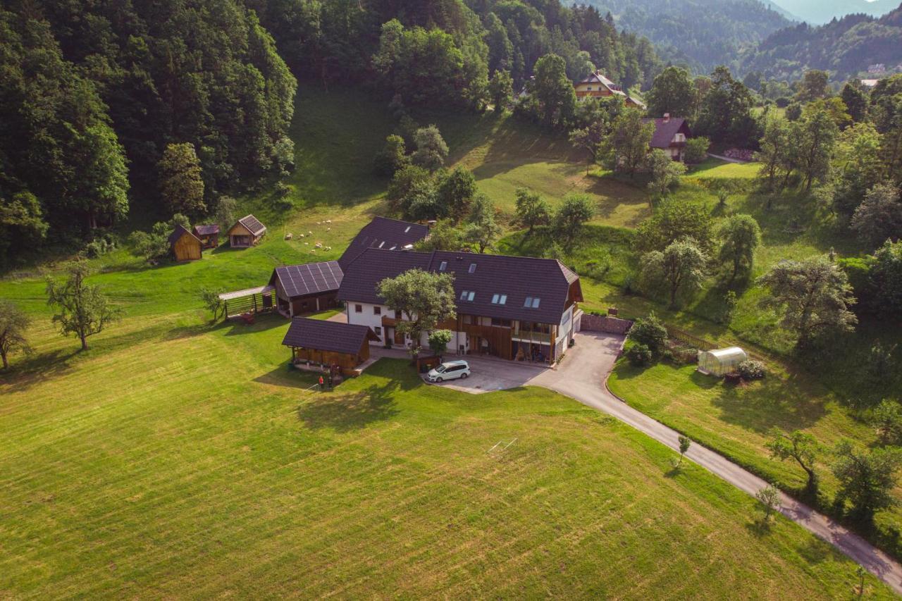 Apartments Tourist Farm Storman With Ev Ch-Station Trzic Exterior photo